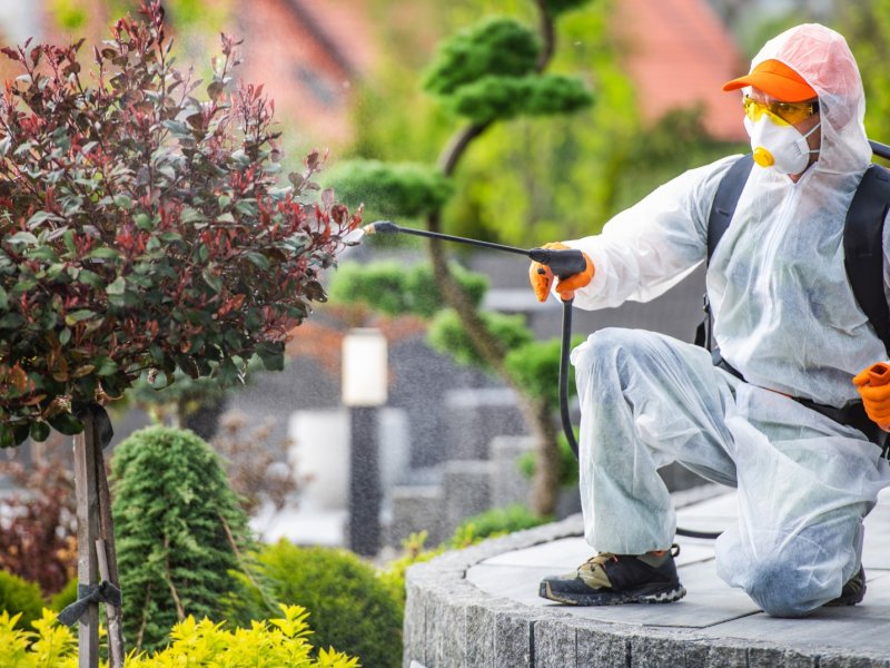 Çınar Haşere İlaçlama