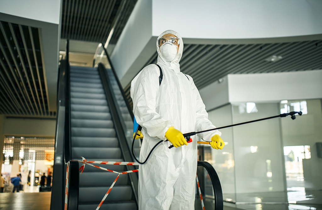 Çınar Haşere İlaçlama